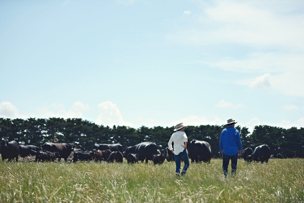 Returning to beef roots with a boutique Angus brand | Stock and Land
